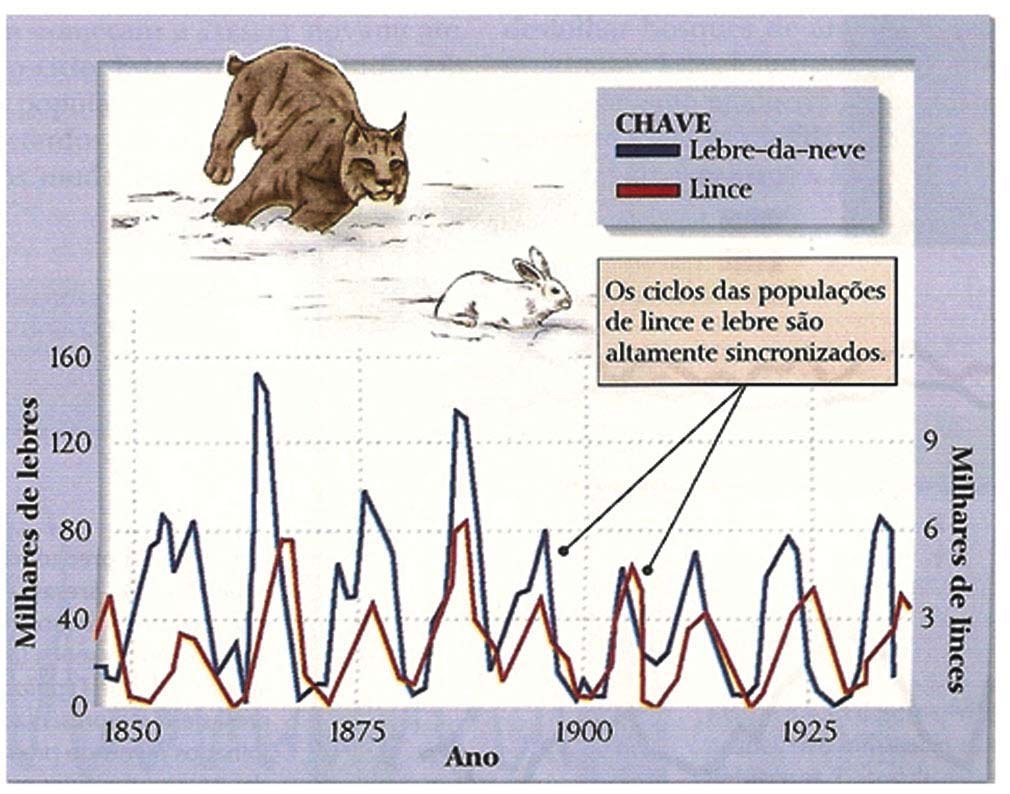 Interações entre populações Figura 20. Os ciclos populacionais de alguns predadores e suas presas podem ser altamente sincronizados. (Fonte: Ricklefs, 2002).