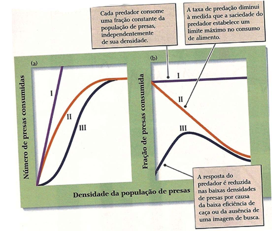 Ecologia de Populaçoes Figura 22. Os predadores apresentam três tipos de respostas funcionais em relação ao aumento da densidade de presas. (Fonte: Ricklefs, 2002).