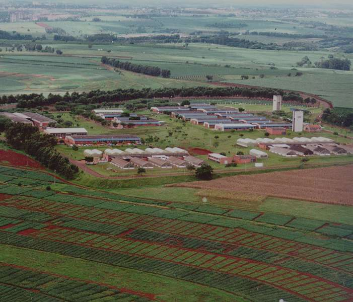 Embrapa Soja A Embrapa Soja foi criada em 16 de abril de 1975 e tem por missão viabilizar soluções que contribuam para o desenvolvimento dos agronegócios da soja e do girassol, com sustentabilidade