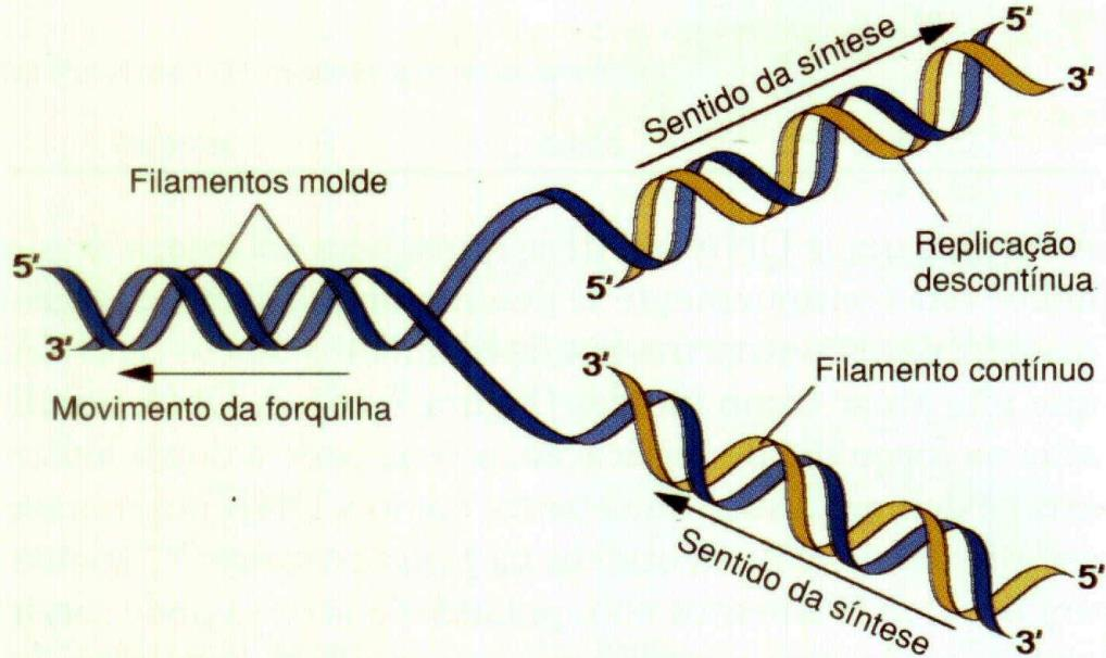 DUPLICAÇÃO SEMICONSERVATIVA DNA Helicase