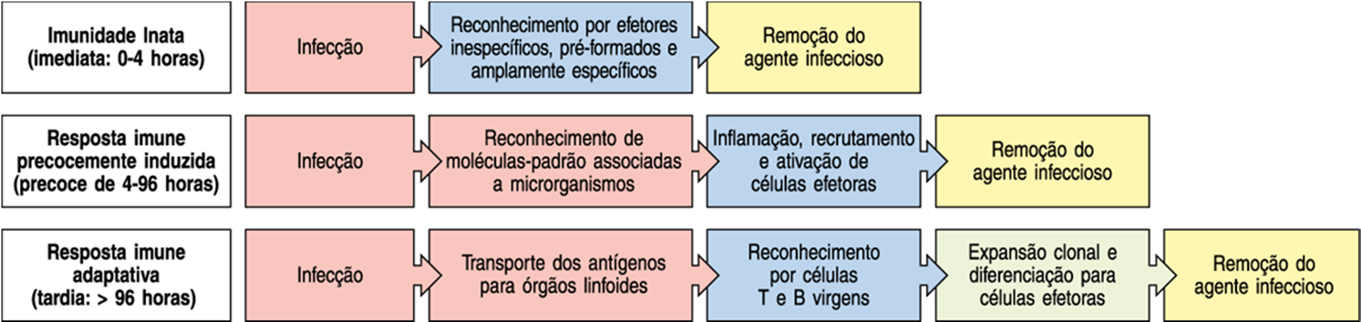 Transição da resposta imune