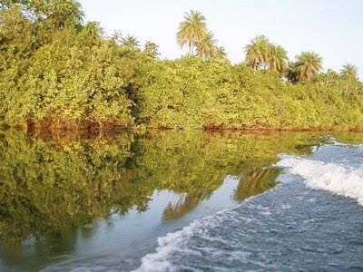 Guiné-Bissau Alguns rios da Guiné-Bissau Rio Corubal O Rio Corubal é um rio da Guiné. O Corubal tem o seu início na Guiné-Conacry e desagua no estuário do rio Geba.