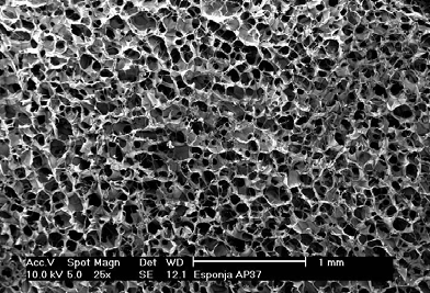 (A) (B) Figura 2 Micrografia de MEV das matrizes porosas de AS/P 30/70 reticuladas com cálcio (A) e EDC (B).