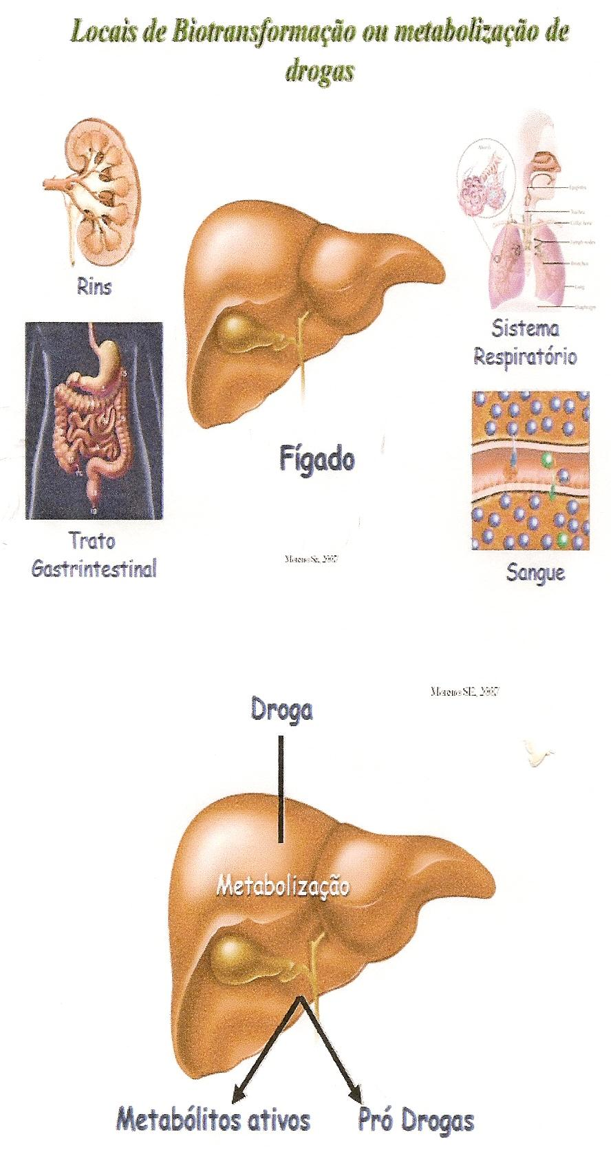 Determinadas doenças podem reduzir o metabolismo como: doenças