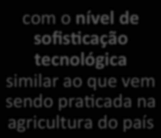 Brasil: acentuar a sua condição de potência agrícola candidato a uma posição de peso no conjunto de apvidades