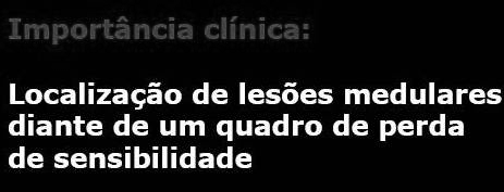 Dermátomo Denominamos dermátomo a região da pele que é inervada pelas raízes dorsais de um determinado segmento da medula.