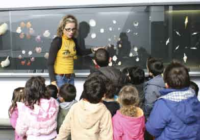 museu marítimo de ílhavo Os Segredos dos Mares Sair da Concha!