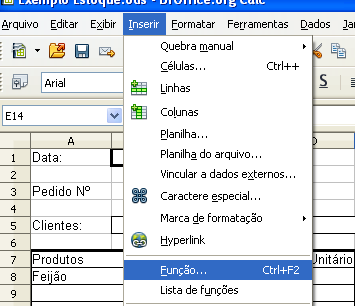 Inserindo funções nas células As funções tornam as planilhas dinâmicas facilitando o trabalho dos usuários.