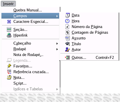 12 Adicionando Campos ao Texto no Writer O OpenOffice 2.0 Writer disponibiliza recursos extremamente importantes para tornar o documento mais dinâmico e prático.