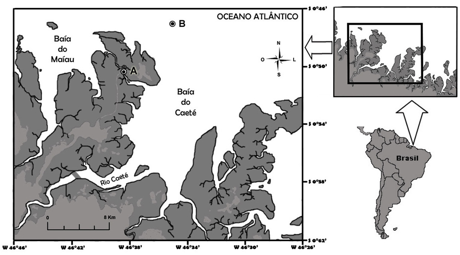 Carvalho et al.: Larvas de Porcellanidae em um estuário amazônico (Linnaeus, 1767) chegaram a constituir cerca de 90% da biomassa zooplanctônica.