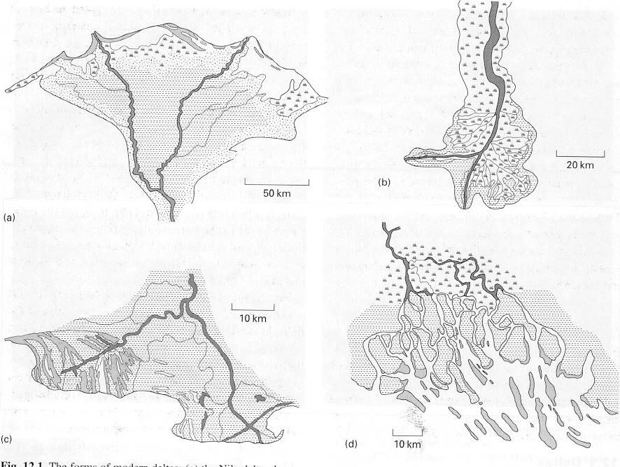 CLASSIFICAÇÃO HIDRODINÂMICA A morfologia do delta é condicionada inicialmente à importância relativa do transporte de sedimento pelas ondas, marés e descarga fluvial.