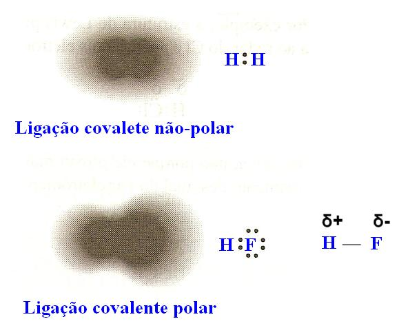 Tipos de