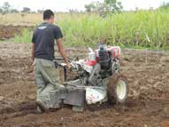 Adubação Para a semeadura em área total não recomendamos a adubação na área.