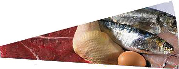 EMENTA - 2 Semana de 2 a 6 de Junho de 2014 de feijão verde massa de atum salada mista croquetes arroz de legumes de vegetais bacalhau com natas hambúrguer no forno esparguete salteado com tomate