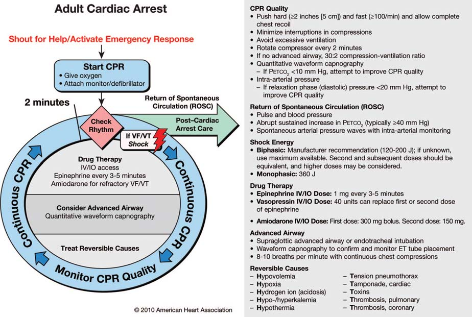 Referências: 1. 2010 American Heart Association Guidelines for Cardiopulmonary Resuscitation and Emergency Cardiovascular Care Science.