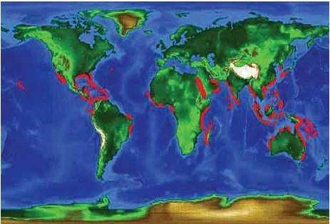 2 Figura 1. Mapa apresentando a distribuição mundial de manguezais. Fonte: FAO (2007). A área total de manguezais no mundo é estimada em cerca de 152.000 km 2. O litoral brasileiro possui 13.