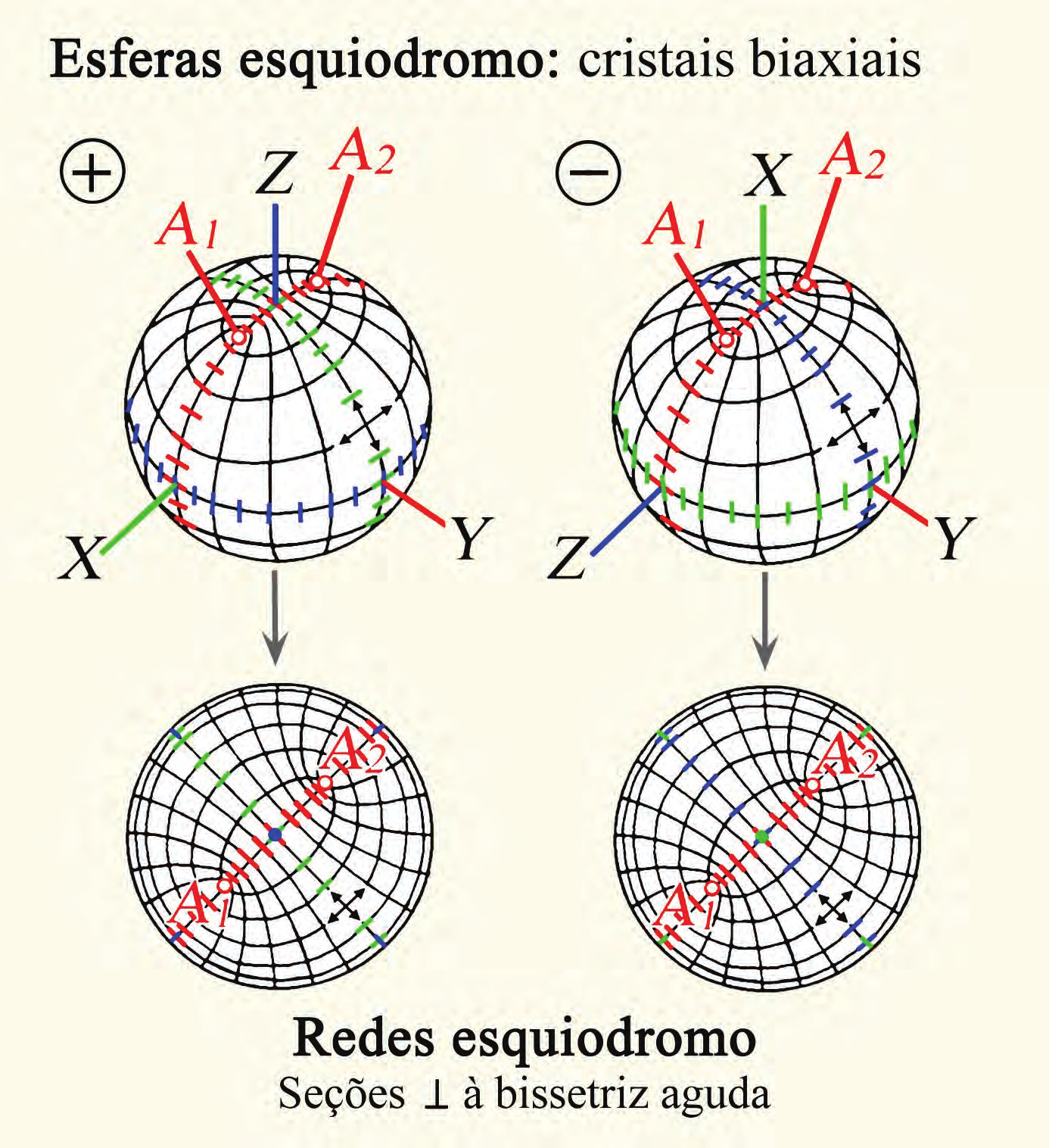 Métodos conoscópicos Figura 4-50. Esfera esquiodromo e projeções para cristais opticamente biaxiais.