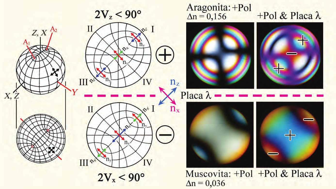 Métodos conoscópicos Determinação do sinal óptico de minerais biaxiais Para determinação do sinal óptico devem ser escolhidas as seções cristalinas com a menor cor de interferência possível.