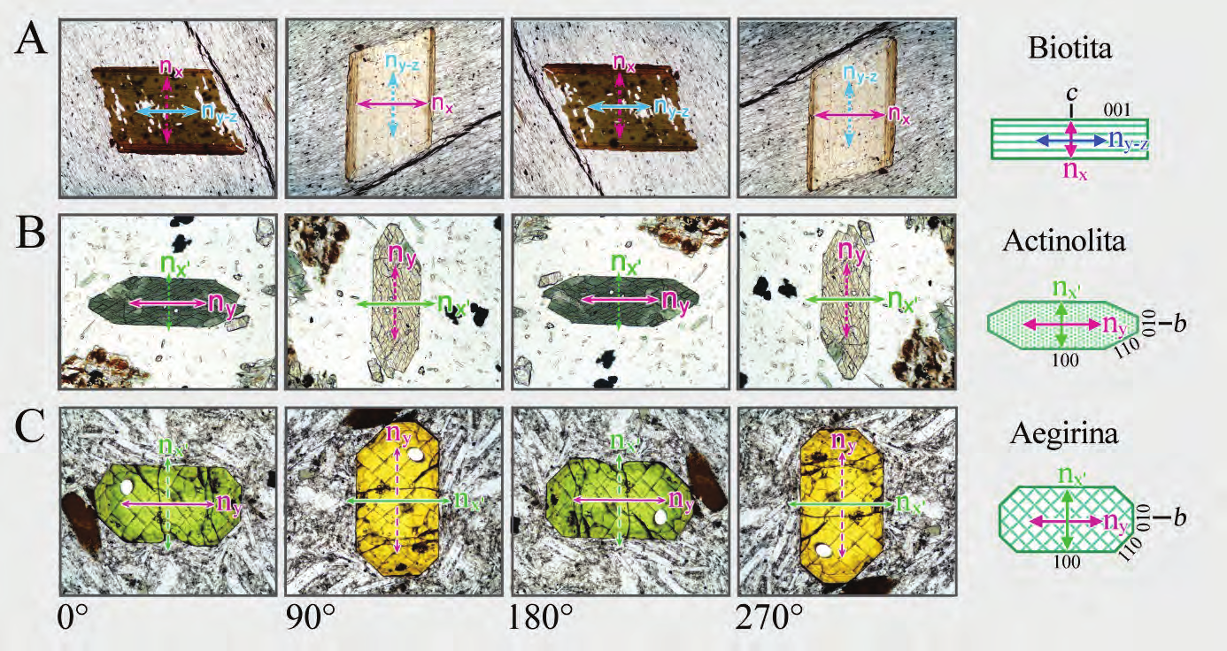Propriedades ópticas: cor e pleocroísmo Figura 4-14 A-C. Mudança nas cores de absorção em seções cristalinas de biotita, actinolita e aegirina-augita, ao girar a platina do microscópio por 360.