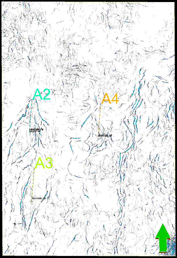 Figura 13: corte do bloco sísmico com atributo ant tracking na profundidade do Grupo Brent.