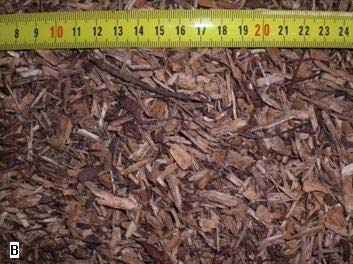 Biomassa florestal Humidade tal como recebida 45% Humidade após secagem 13,5% Granulometria tal como recebida < 100 mm Granulometria após trituração < 10 mm Cinzas 3,1% (bs) Lamas