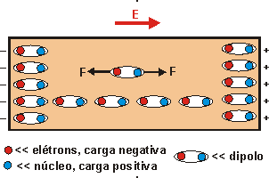 Polarização do dielétrico Comportamento do dielétrico: Tanto a molécula polar como