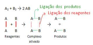 Catalisadores Como é que os catalisadores aumentam a velocidade das reações?