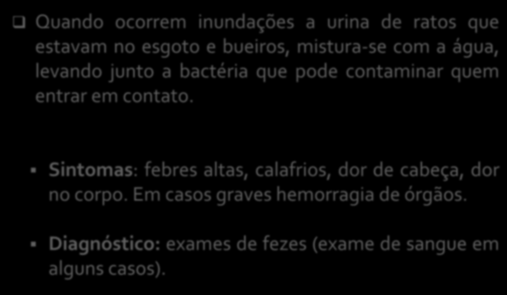 Quando ocorrem inundações a urina de ratos que estavam no esgoto e bueiros, mistura-se com a água, levando junto a bactéria que pode contaminar quem entrar em contato.