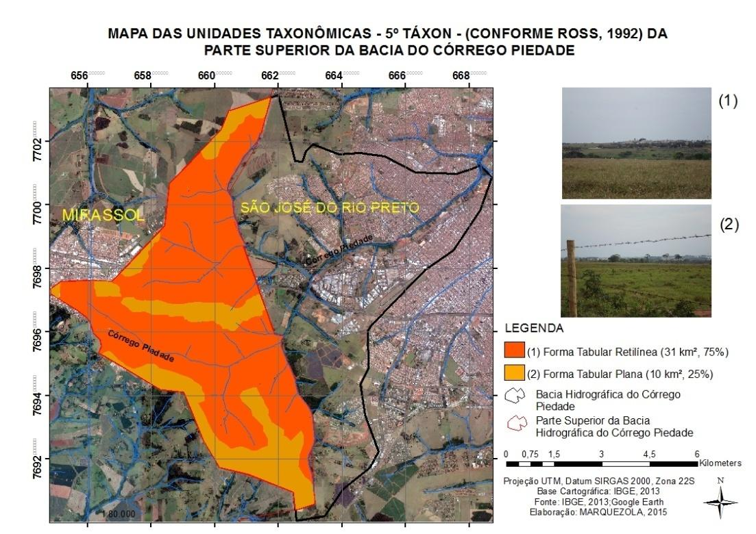 Figura 02 Mapa das unidades taxonômicas identificadas na área de estudo.