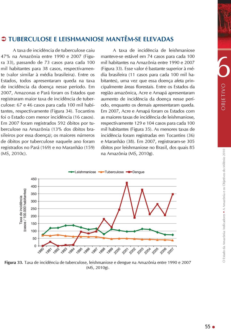 Em 2007, Amazonas e Pará foram os Estados que registraram maior taxa de incidência de tuberculose: 67 e 46 casos para cada 100 mil habitantes, respectivamente (Figura 34).