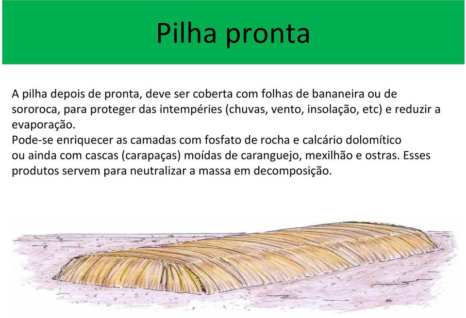 Pode-se enriquecer as camadas com fosfato de rocha e calcário dolomítico ou ainda com cascas