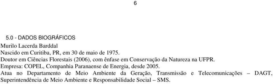 Empresa: COPEL, Companhia Paranaense de Energia, desde 2005.