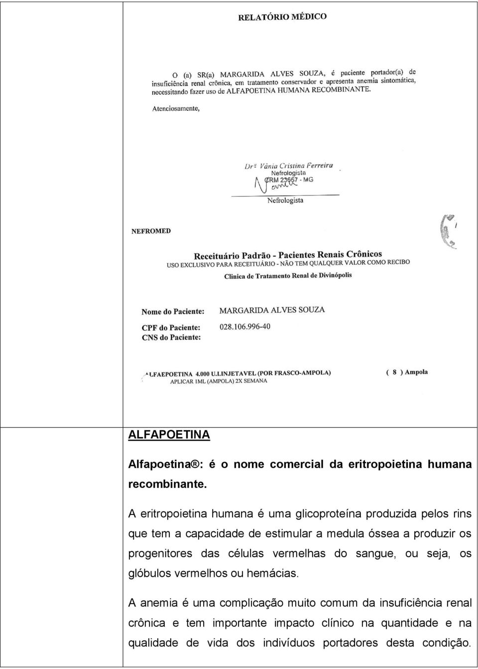 produzir os progenitores das células vermelhas do sangue, ou seja, os glóbulos vermelhos ou hemácias.