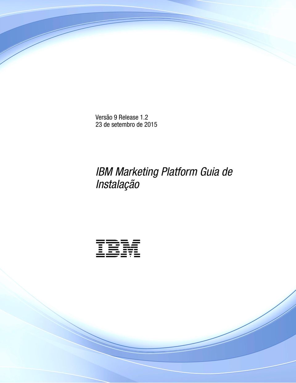2015 IBM Marketing