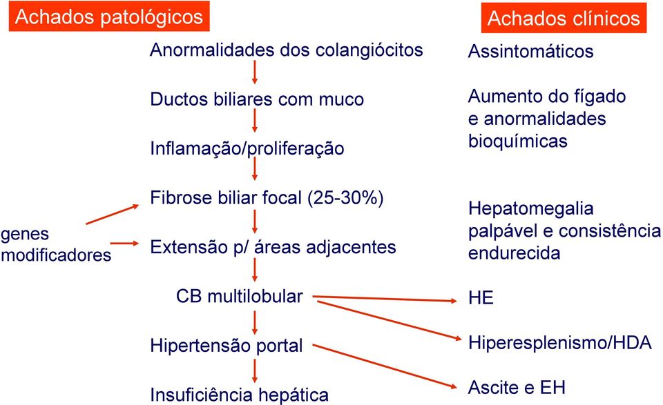bioquímicas genes modificadores Fibrose biliar focal (25-30%) Extensão p/ áreas adjacentes CB