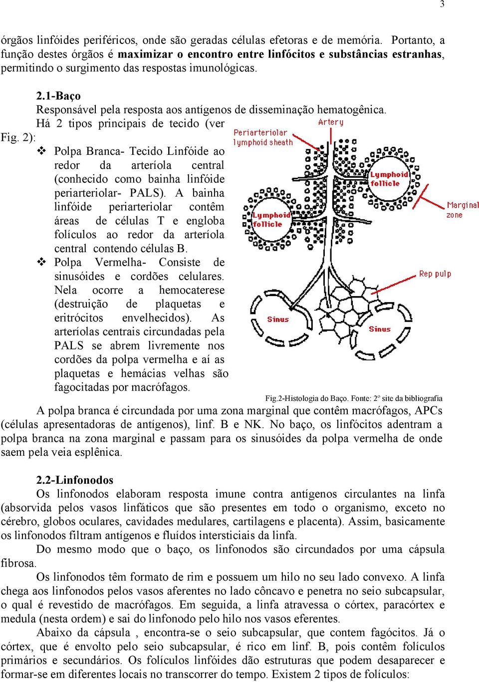 1-Baço Responsável pela resposta aos antígenos de disseminação hematogênica. Há 2 tipos principais de tecido (ver Fig. 2):!