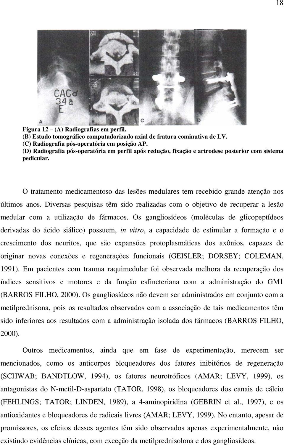 O tratamento medicamentoso das lesões medulares tem recebido grande atenção nos últimos anos.