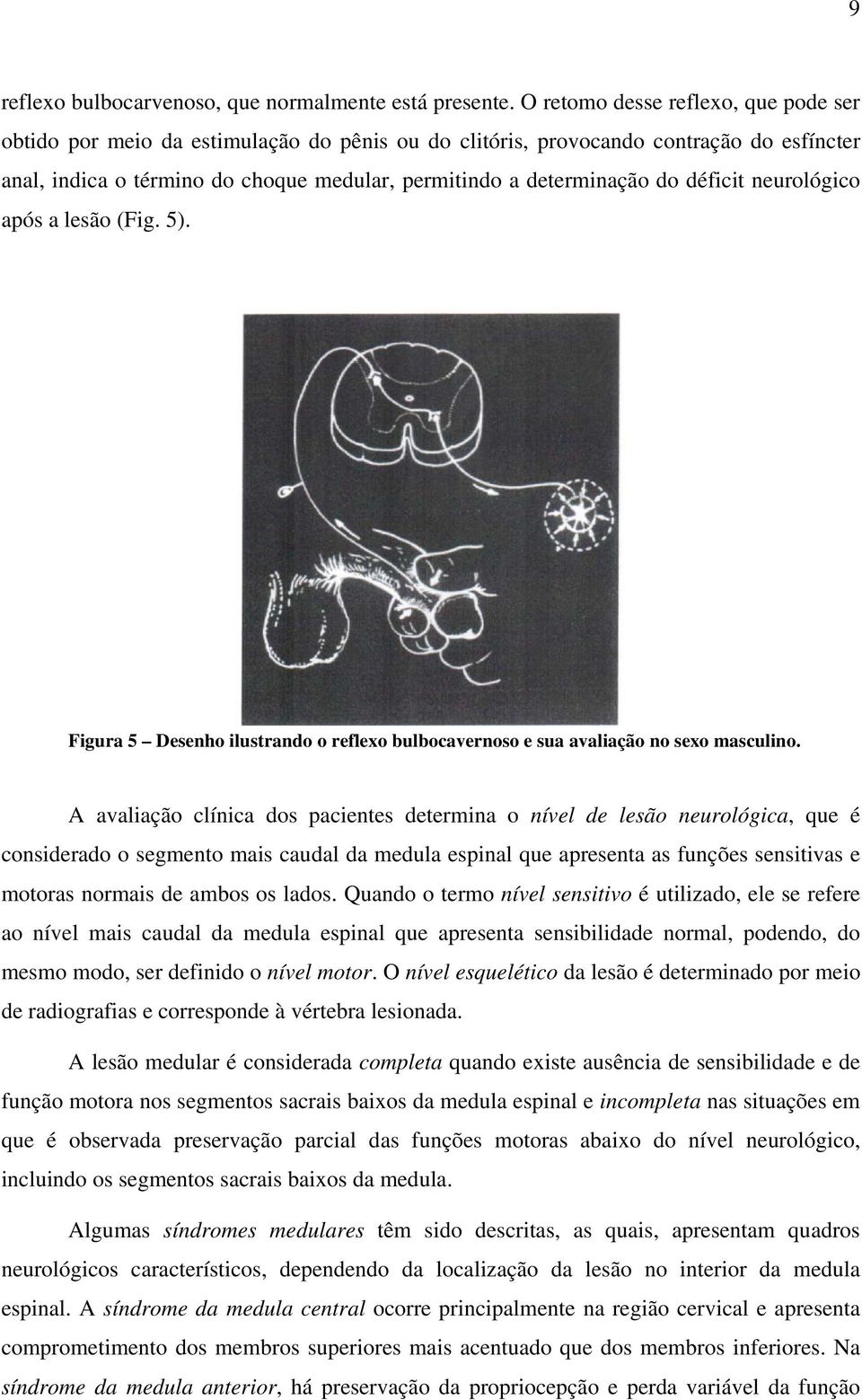 déficit neurológico após a lesão (Fig. 5). Figura 5 Desenho ilustrando o reflexo bulbocavernoso e sua avaliação no sexo masculino.