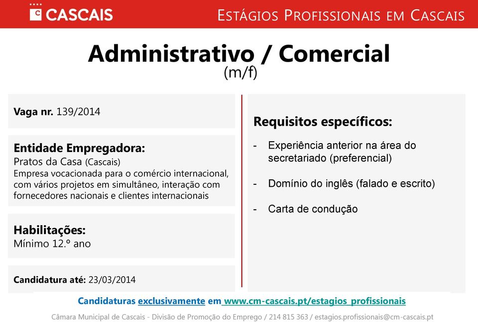 vários projetos em simultâneo, interação com fornecedores nacionais e clientes