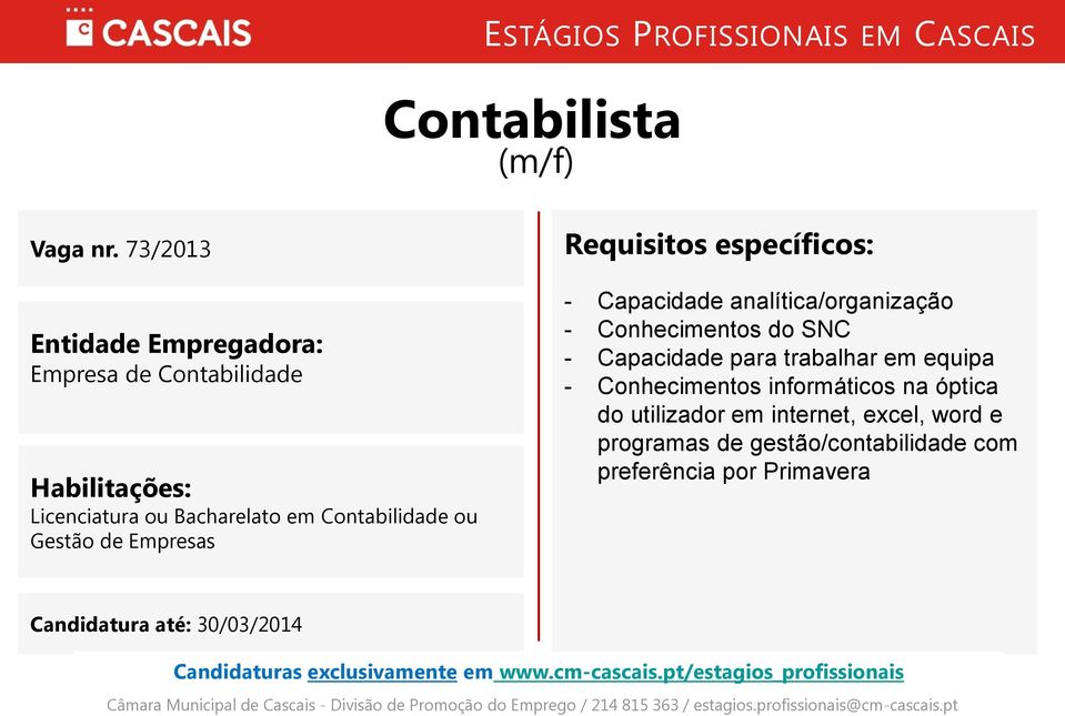 Empresas - Capacidade analítica/organização - Conhecimentos do SNC - Capacidade para trabalhar em