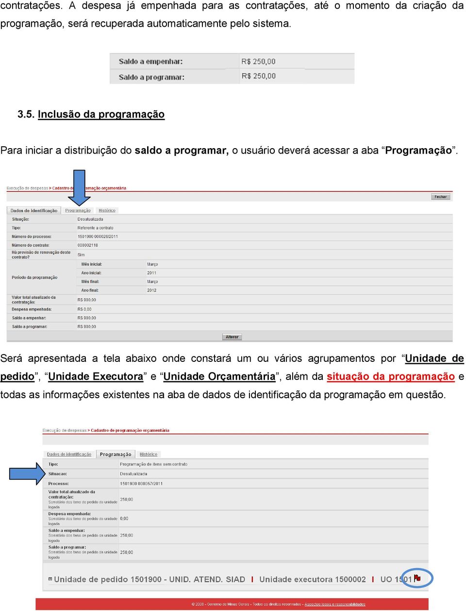 3.5. Inclusão da programação Para iniciar a distribuição do saldo a programar, o usuário deverá acessar a aba Programação.