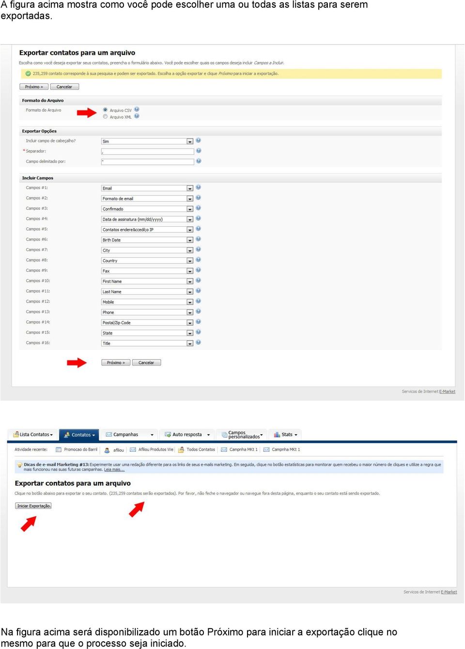 Na figura acima será disponibilizado um botão Próximo