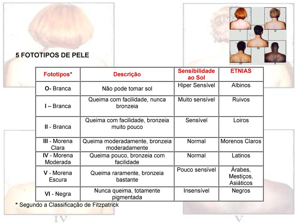 Morena Escura Queima moderadamente, bronzeia moderadamente Queima pouco, bronzeia com facilidade Queima raramente, bronzeia bastante Nunca queima,