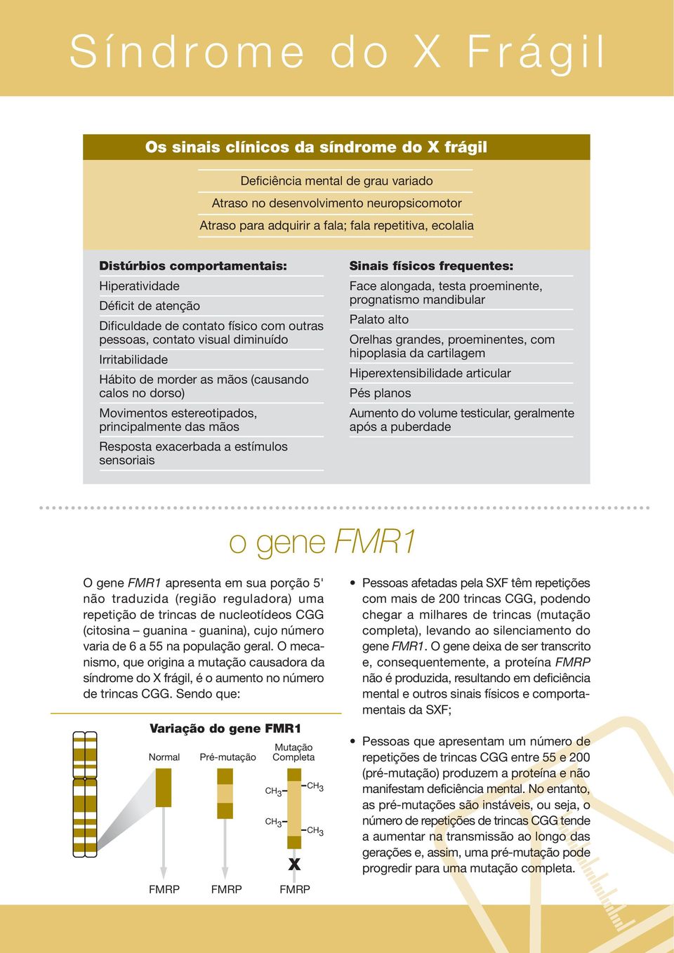 calos no dorso) Movimentos estereotipados, principalmente das mãos Resposta exacerbada a estímulos sensoriais Sinais físicos frequentes: Face alongada, testa proeminente, prognatismo mandibular