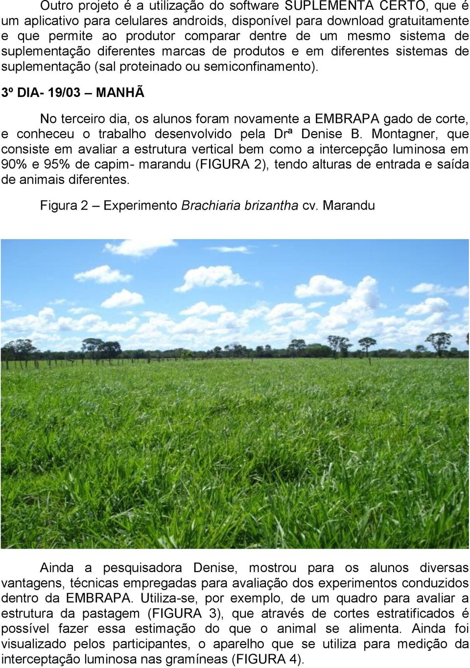 3º DIA- 19/03 MANHÃ No terceiro dia, os alunos foram novamente a EMBRAPA gado de corte, e conheceu o trabalho desenvolvido pela Drª Denise B.