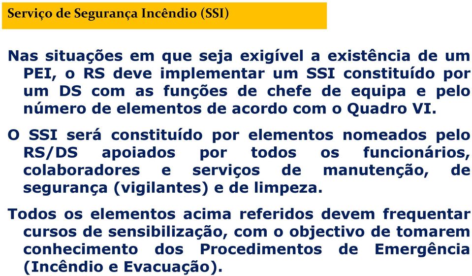 O SSI será constituído por elementos nomeados pelo RS/DS apoiados por todos os funcionários, colaboradores e serviços de manutenção, de