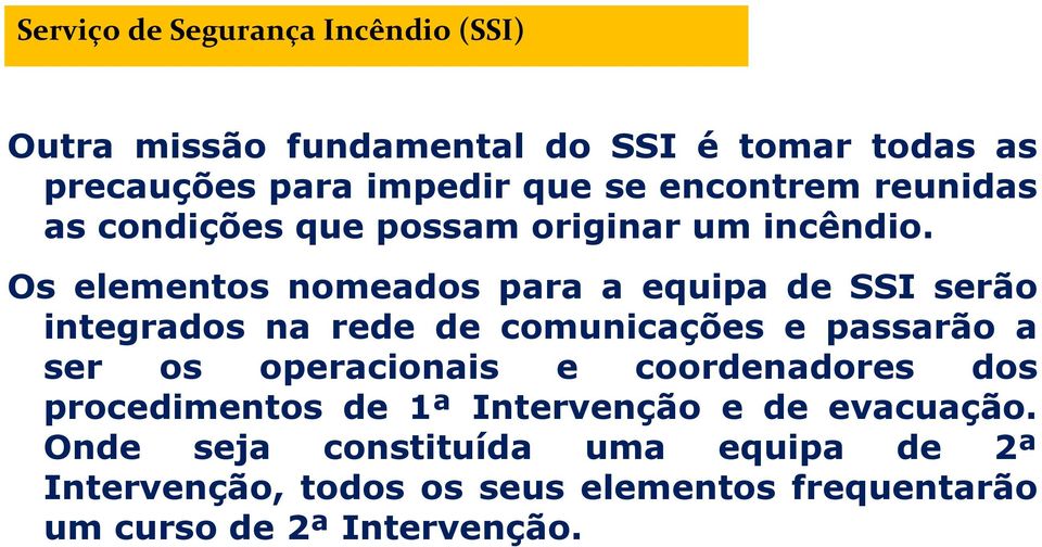 Os elementos nomeados para a equipa de SSI serão integrados na rede de comunicações e passarão a ser os operacionais e