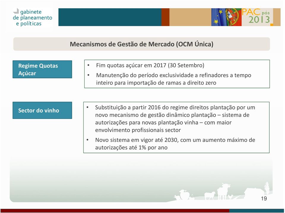 do regime direitos plantação por um novo mecanismo de gestão dinâmico plantação sistema de autorizações para novas plantação