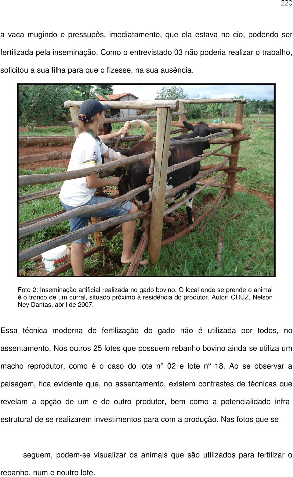 O local onde se prende o animal é o tronco de um curral, situado próximo à residência do produtor. Autor: CRUZ, Nelson Ney Dantas, abril de 2007.