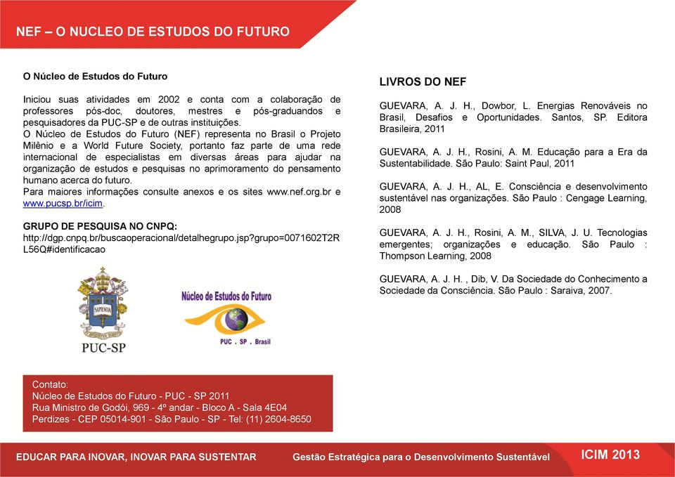 O Núcleo de Estudos do Futuro (NEF) representa no Brasil o Projeto Milênio e a World Future Society, portanto faz parte de uma rede internacional de especialistas em diversas áreas para ajudar na